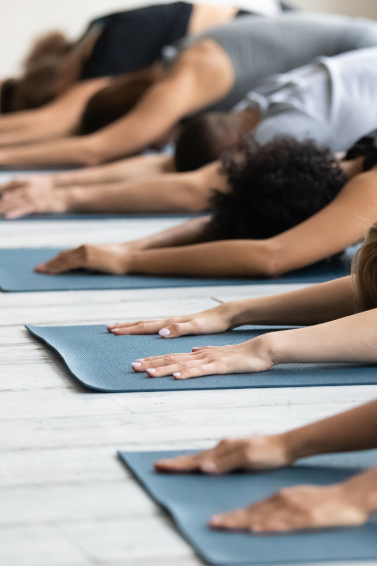 Yoga for Beginners Course