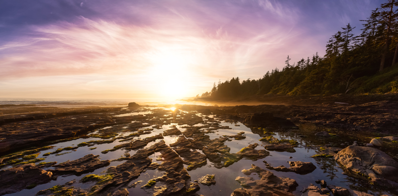 Gratitude lives at the interface of body and mind. Deep in the brain, the insula translates sensations like heartbeat and breath into a felt sense of being. When we practice gratitude, empathy, or mindfulness, this same circuitry brings coherence to our inner and outer worlds, helping us feel meaning rather than just think it.